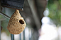 Taiwanese Birdhouses at DMY Berlin Are Inspired by Rice Farmers' Relationship To Sparrows