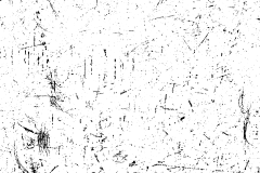 汐慧子采集到文字素材