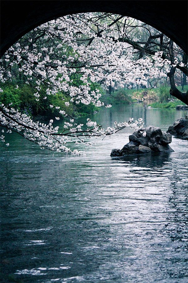 浪花有意千重雪，桃李无言一队春。 一壶酒...