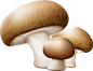 蘑菇素材грибочки (8).png : Фото, автор YakimenkoInna1970 на Яндекс.Фотках