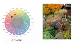 莔冲鱼采集到A景观——园艺、花境、植物搭配