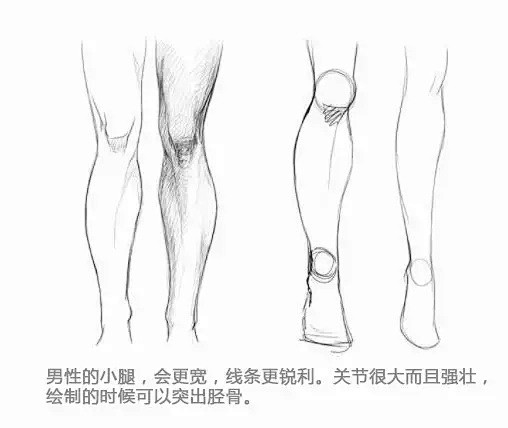 【新手教程】第16期：小腿篇，关于小腿常...