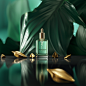 kolnetwin_A_scene_radiating_the_vigor_of_verdant_nature_execute_2c2d3b84-f8fa-42ab-af75-e27a8cbad44b.png (1024×1024)
