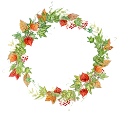 花png_花瓣_采集2519