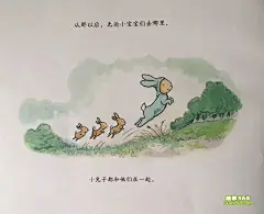 小兔子的新宝宝 - 幼儿故事 - 故事365