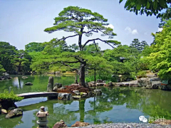 山水简居采集到假山、石景、桩景、枯山水