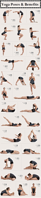 Yoga :Learn and Master the Top Yoga Poses and Exercises