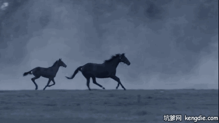 野外动画奔跑的马gif动态图片