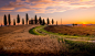 Tuscan cypress by Maciej Czekajewski on 500px