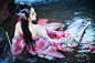 剑侠情缘网络版叁 cosplay | 半次元-第一中文COS绘画小说社区