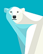 giuleps:

wasbella102:

Polar Bear by Josh Brill

nice! ;~)
