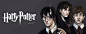 Harry Potter Trio by jericilag