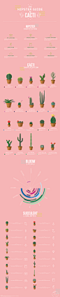 The Hipster Guide to Cacti - Infographic & Posters : This infographic illustrates 20 different species of cacti, their common and  scientific names, locations and bloom cycles in order to provide easily digestible information that matches and mocks th