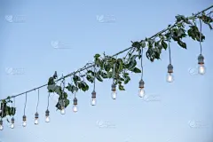 典礼,白昼,天空,贺卡,标签,生日,模板,新年,新年前夕,节日
