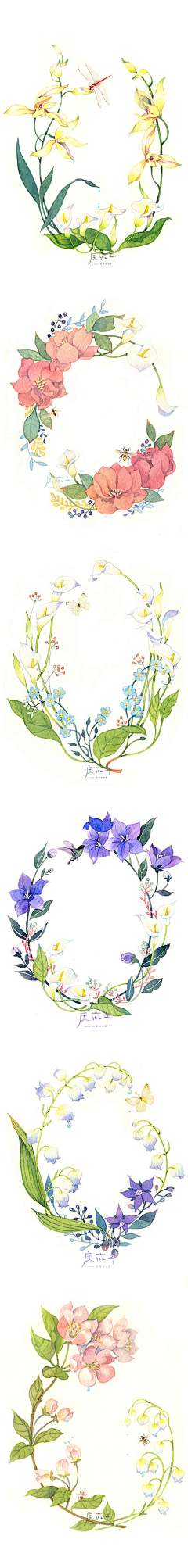 Liz-卿酒酒采集到植物插画
