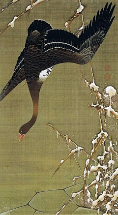 努古拉斯赵5采集到国风