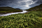 highland fairy tale XII by Philip Gunkel on 500px