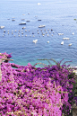 波西塔诺，意大利
positano, italy