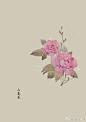 #365天生日花# 4月29日 山茶花 (Camellia) <br/>花语 : 魅力 <br/> 