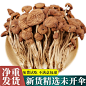 茶树菇干货不开伞旗舰店特产蘑菇干菌香菇云南菌子炖汤煲汤食材料-淘宝网