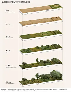 景观设计丨景观分析图丨创意分析图