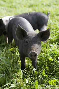 ganblin采集到旅行