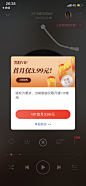 黑胶VIP首月仅3.99元-网易云