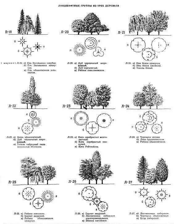 常用的景观植物配置·原理【第783期】