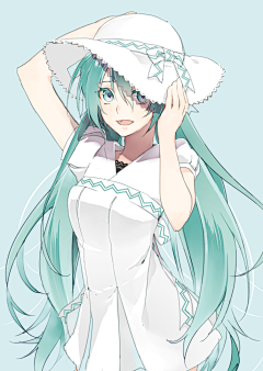 珍珠公主不要秃头采集到初音未来