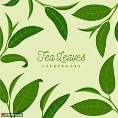 绿叶插画 茶叶 种植园 茶园 植物叶子 高清背景 图案插画 平面设计素材 ai矢量图片下载-优图网