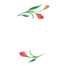 花草png