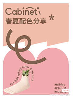 西木焦采集到色卡