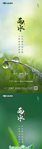 雨水节气系列海报