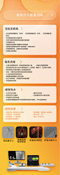 综合介入栓塞训练
