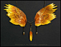 Brenda Lyons仿生飞禽翅膀的配色与样式做出的饰品，好漂亮，#搭配#