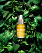 038 Still Life Product Photographer Dennis Pedersen Beauty Cosmetic Liquid Advertising Editorial Creative