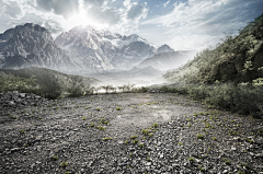 红茶tee采集到风景