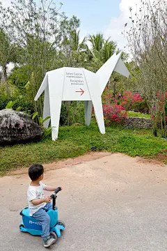 折纸