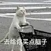 阴阳怪气我在行