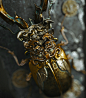 Cyclommatus-For The Art of 3D Insects Challenge, Zhelong Xu : My Completed submission for Adobe Dimension & Adobe Stock - The Art of 3D Insects Challenge
https://www.artstation.com/contests/adobe-dimension-adobe-stock/challenges/81/submissions/50229
B