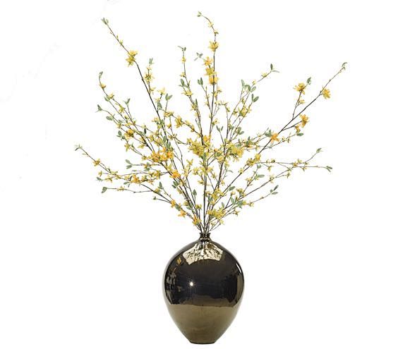 Forsythia (YF135): F...