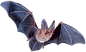 Bat PNG