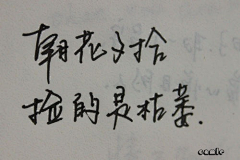 HiW先生采集到艺术字