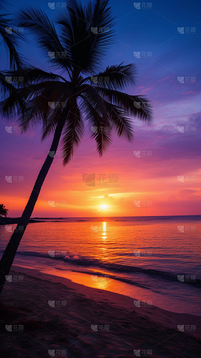 背景通用落日椰子树海边沙滩光影背景图片素...