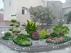采集图片