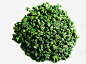 茶高清素材 绿色 绿茶 茶叶 元素 免抠png 设计图片 免费下载 页面网页 平面电商 创意素材