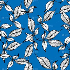 纺织品,时尚,轮廓,叶子,矢量,式样,墨水,黑色,高雅,概念