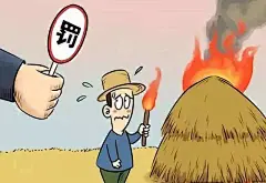 “六五”环境日｜达州发布一批破坏生态环境犯罪案件 - 达州市广播电视台