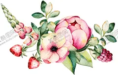 手绘花 【酷图网】手绘花,水彩花,铅笔画,月季,玫瑰花,高清,印花,粉色花,花卉,素材