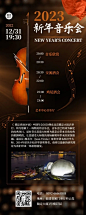 新年音乐会邀请函小提琴演出表演